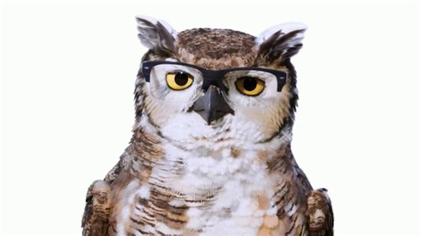 America's Best Contacts and Eyeglasses TV Spot, 'Decoy: $69 Savings'