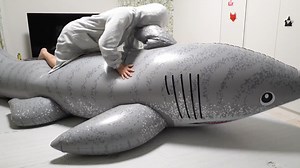 [转载] Inflatable world shark ride（骑IW鲨鱼-1）
