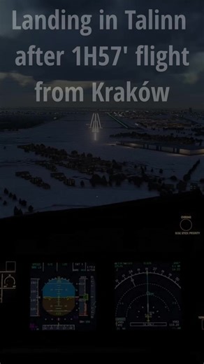 Exciting Pilot Landing Techniques in Flight Simulators