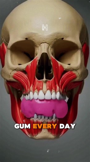 Eat chew gum every day😳