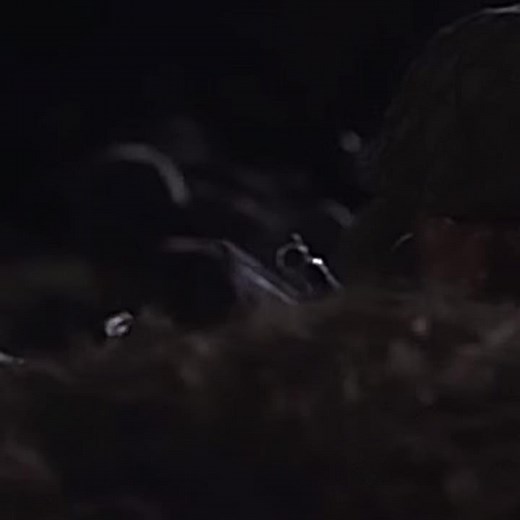 太平洋の奇跡-フォックスと呼ばれた男 #fypシ #編集動画 #編集 #映画#太平洋戦争 #太平洋の奇跡 #ww2