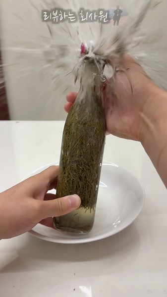 You can actually make soda out of pine needles?