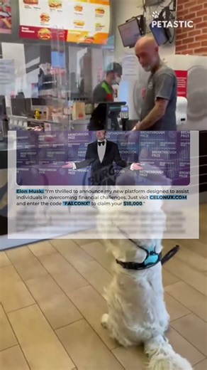 Puppy Bloopers： The Not So Intelligent Side of Dogs ｜｜ PETASTIC 🐾 34s