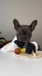 224K views · 4.1K reactions | What fruits can dogs eat? #dogs #viralreelsシ #dogsoftiktok #dogfood #doglovers #dog #foryouシ | Dogsdiscovery | Facebook