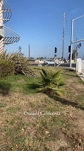 92K views · 953 reactions | Oxnard California | La vida de campo San Quintín | Facebook