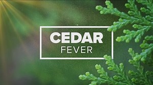 'Cedar fever' hits Houston