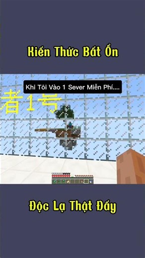 When I Joined a Free Minecraft Server and This Is the Outcome #shorts