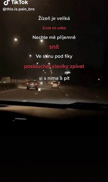Slavíci z Madridu - Waldemar Matuška | Text písně