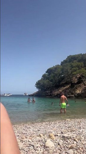 Sunbathing With a Donkey on the Beach || ViralHog