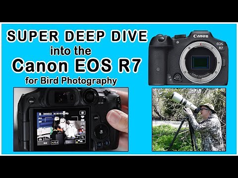 Let's Setup the EOS R7 for Bird Photography: A Deep Dive into the Stock Settings and Modifications