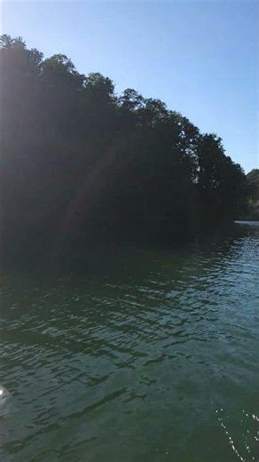 Lake Watauga, TN #nature #naturelovers #mountains #tree #lake #water #views #view #boating