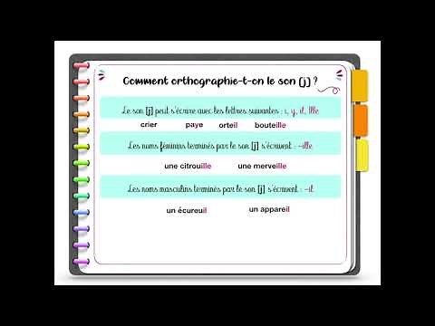Règles d'orthographe 2 CM1