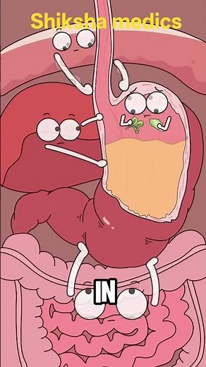 Reactive gastropathy