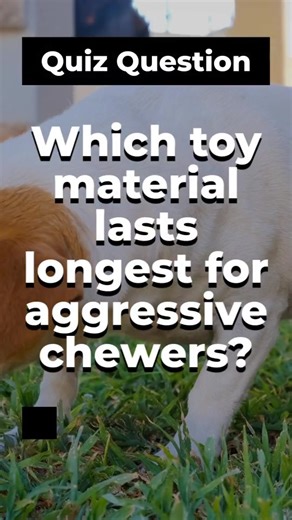 Choose toys that match your dog’s bite — comfort that lasts and holds up to play. Tap to learn more. - Click the link in our bio to shop now! 🛍️ #htanimalsupply #fyp #DogToys #DurableDogToys #ChewProof