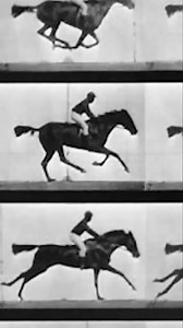 12K views · 359 reactions | A cause d'un accident, il invente le cinéma  | Poisson Fécond | Facebook