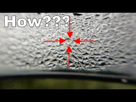 Weird Things Happening in the HUGE Spring Ecosphere...