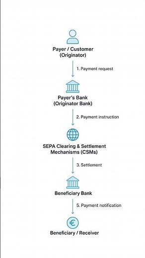 SEPA Payment Network #sepa #sepanetwork #paymentsystem #paymentprocessing #businessanalyst #payments