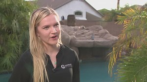 How to adjust your outdoor watering schedule during Arizona summers