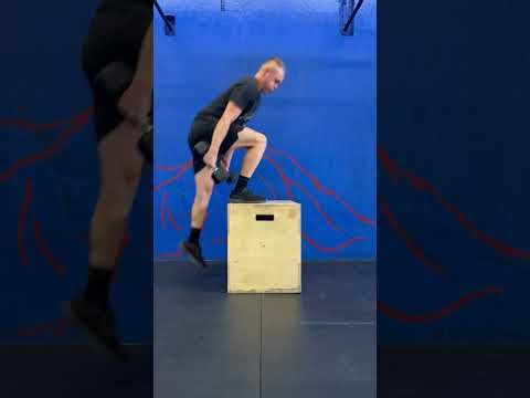 Weighted Box Step-overs (Double DB Suitcase) (Half ROM)