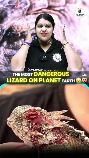 Meet the Most Dangerous Lizard on Earth! 😱🦎