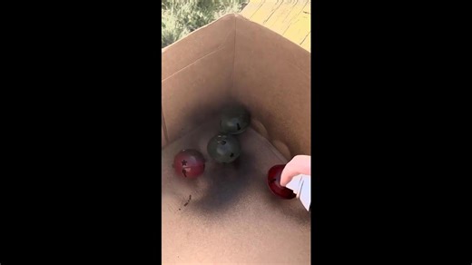 Turn Dollar Tree trashcans into THIS for Christmas!