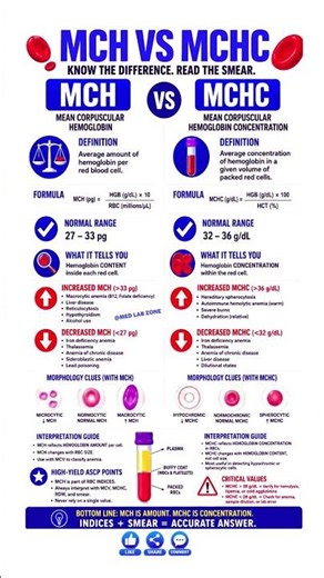 MCH vs MCHC: Most People Confuse These CBC Tests