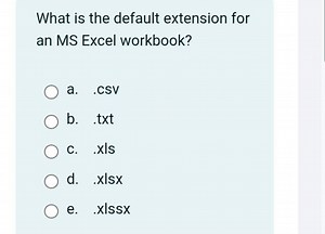 What is the default extension for an MS Excel workbook?a. .csv... | Filo