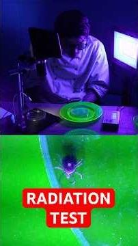 Lone Star Tick Radiation Test