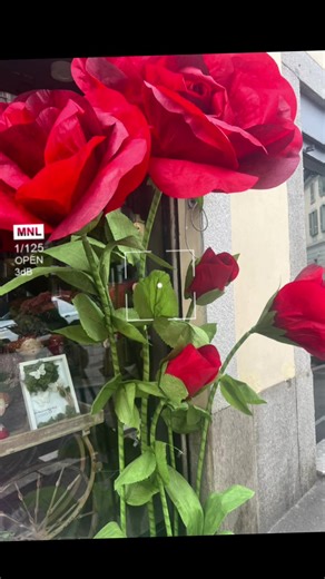 Scopri i Top 04 di Hamza per il 2025 in Lombardia