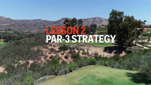 Par-3 Strategy