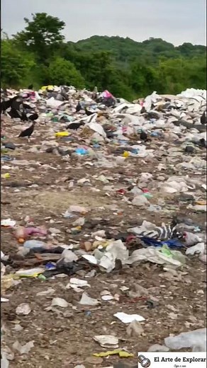 Así es un basurero Municipal