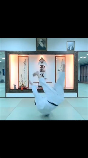 The Physics of Effortless Aikido Rolls