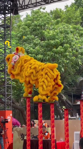 The Mysterious Dance of the Lion: Head & Tail Reveal