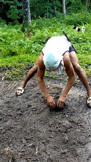 Archie Vlog on Reels