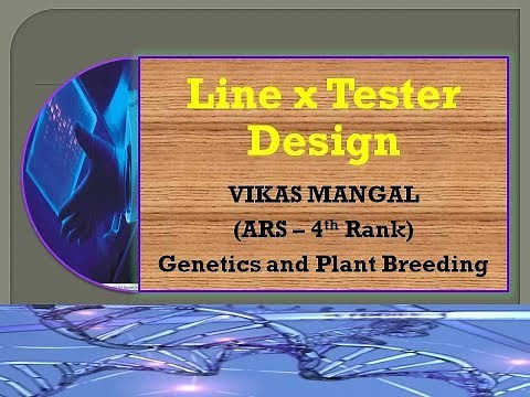 Line x Tester Design | By Vikas Mangal