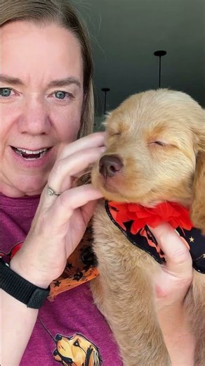 This puppy is ready for Halloween!