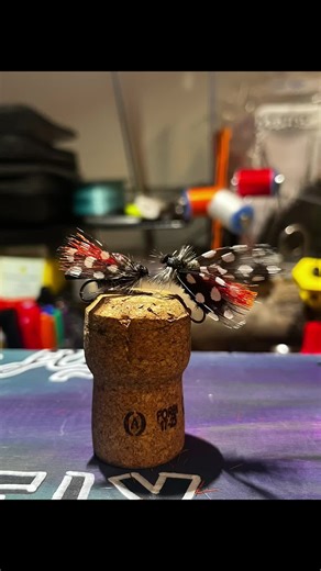 Spotted Lantern flies For the record this is not my pattern. I originally saw this tied by @Reederflyfish fantastic pattern dude. Hoping it cashes in for me here in New Jersey #flytying
