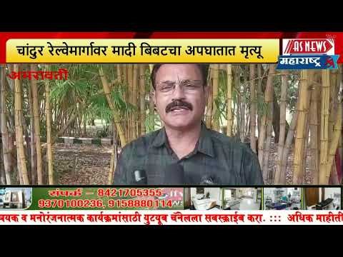 AMRAVATI | चांदुर रेल्वेमार्गावर मादी बिबटचा अपघातात मृत्यू