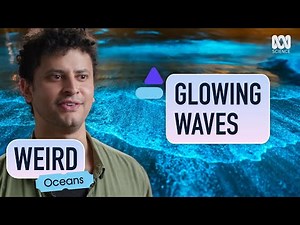 Glowing Waves: What Causes This Neon Blue Glow? | Weird: Oceans | ABC Science