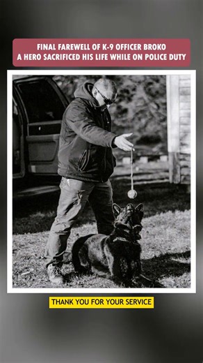 112 reactions · 9 comments | Final farewell of hero  #k9 #honor #farewell #dog #emotional #heartbreak #family #fyp | Manuel Payne | Facebook