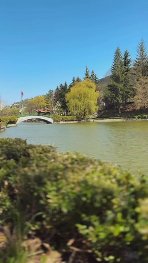 Discover Dilijan: A Journey Through Armenia's Mimino