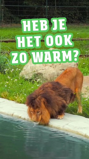 Warm weer? Tijd voor waterpret in Bellewaerde!