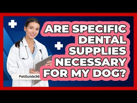 Are Specific Dental Supplies Necessary for My Dog?
