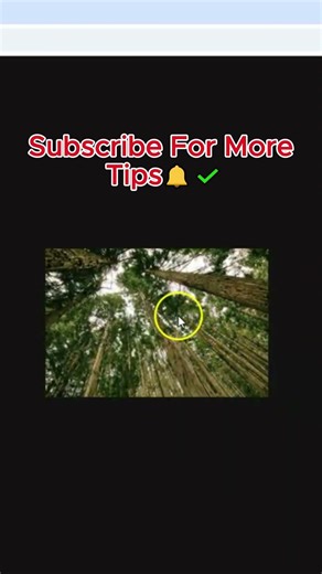 Image Hover Zoom Effect using HTML & CSS 🔥#shorts #coding #programming