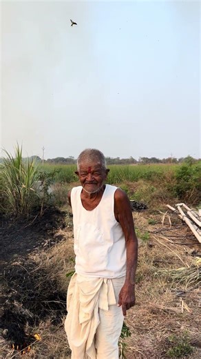 92 years old आजोबा. #waikarfarmhouse#solapur #maharashtra #farming#agriculture#vlogs#nature
