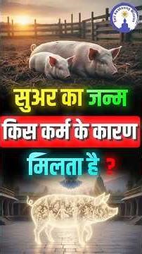सूअर का जन्म किन कर्मों के कारण होता है?