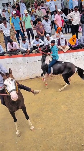 Amazing Horse Riding & Racing 🐎🔥 | Incredible Horse Power #shorts
