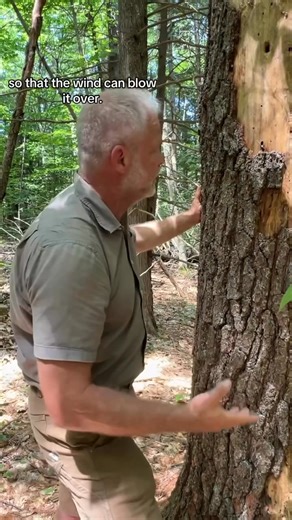 Tree tracking? Enjoy this powerful tool for increasing your awareness. Part 5 | Michael Douglas
