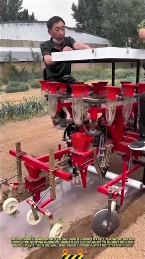 Daily Worker Process of Planting Saplings with a Sowing Machine #dailywork #farming