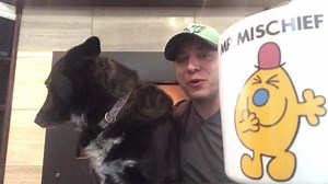 ‪Warren’s Web’ther for April 1st As I continue to work more from home we get a special guest appearance along with details on the cold and snow! 🥶⛄️‬ | CTV Regina